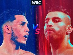 фото - Официально: Бенавидес и Лемьё разыграют «временный» титул. Есть контракт