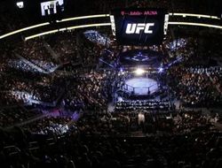 фото - Кризис жанра. Почему турниры UFC стали такими унылыми? 