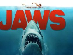 фото - Сёрфер отбился от акулы боксёрскими приёмами