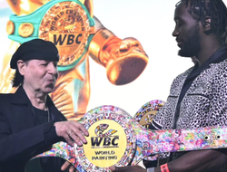 фото - В WBC хотят претендентский турнир в лёгком весе: решения из Гамбурга