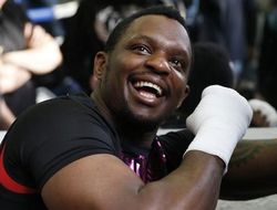 фото - Херн: С удовольствием посмотрел бы бой Уайта против Уайлдера