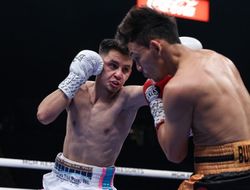 фото - Сандовал уничтожил Буйтрахо, Уильямс красиво нокаутировал Кэша: видео