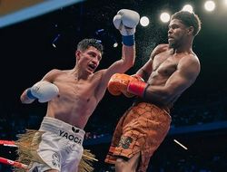 фото - Тайсон назвал то, что ему не понравилось в исполнении Стивенсона