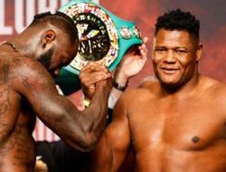 фото - «Многие недооценивают Ортиса»: эксперт пророчит Уайлдеру проблемы