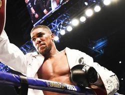 фото - Тайсон Фьюри: Надеюсь, Джошуа выбросит этот долбаный пояс WBO!