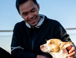 фото - Пакьяо скупает бизнес Мейвезера? У Мэнни объяснили принятое решение