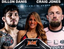 фото - Джонс и Денис договорились о схватке по правилам БЖЖ