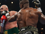 Если Нганну вернётся в ММА. Ветеран UFC обсудил варианты «Хищника»