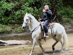 фото - Нурмагомедов «порвал» плечо, бой с Сэндхагеном сорван