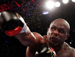 фото - Уайт: «С кем Фьюри дрался? За Кличко и Уайлдера не стать «Величайшим»