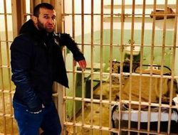 фото - Апелляция Хурцидзе, дата Нери-Фигероа, Грачёв против экс-чемпиона