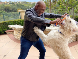 фото - Тайсон на карантине, нарезка чистых ударов Ковалёва, Атлас поддержал медработников — соцсети