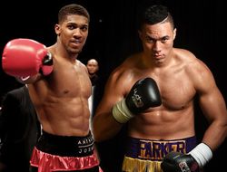 фото - В СМИ озвучена дата и место проведения боя между Джошуа и Паркером