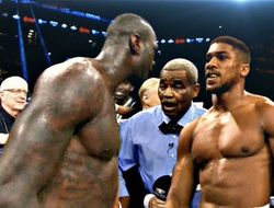 фото - Фроч: Поединок между Джошуа и Уайлдером всё равно должен состояться