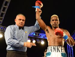 фото - Отборочный бой по версии IBF: 100% нокаутёр Матиас «удосрочил» Дадашева