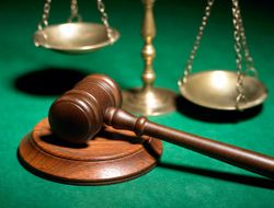 фото - Ожидаем, что вскоре Аделаида Бёрд вернётся к работе — комиссия