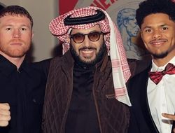 фото - Назван спаррингёр Стивенсона, Аль аш-Шейх задумал яркую рубку