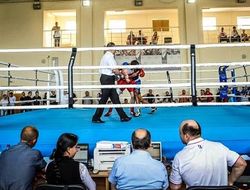 фото - Кубок Украины 2014: результаты финальных поединков