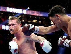 фото - Альварес рассказал, что изменит в реванше с Биволом