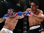 Легенды в деле. Руа и Ногейра сразятся в третий раз на UFC 250