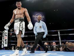 фото - Андеркард Фьюри-Уайт, два экс-чемпиона ушли на пенсию, камбэк Альвареса