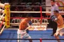 Видео боя: Хавьер Масиэль – Алехандро Фаллига