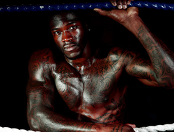 фото - Уайлдеру стоит держаться подальше от Кличко — Стиверн