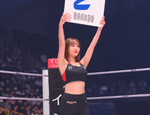 Bellator vs Rizin: результаты всех поединков турнира в Японии