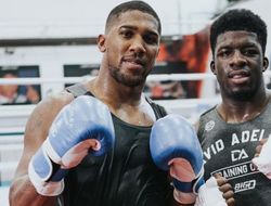 фото - Британский проспект-супертяж Аделейе замесил джорнимена: видео