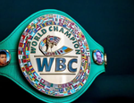 Киевский титульник отменён, хаос и жесть в крузервейте — решения WBC