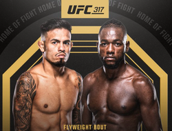 фото - Ройвэл и Капе всё же встретятся в очной схватке. Названа новая дата боя