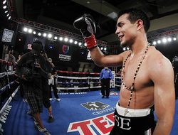 фото - Нашла коса на камень: Сепеда перебоксировал Педрасу