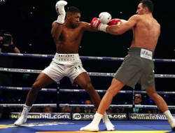 фото - Особенности ставок на бокс