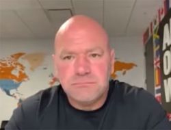 фото - Дэйна Уайт — о сотрудничестве с Мэйуэзером и уходе Макгрегора на пенсию