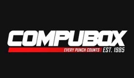 Фундора-Цзю 2. Статистика ударов реванша