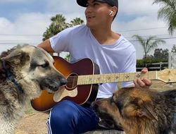 фото - Вёрджил Ортис хочет нагнать упущенное: заряжается на три боя до конца года