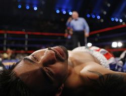 фото - Брутальный нокаут в поединке Менарда и Бернардо — видео от vRINGe.com