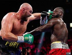 фото - Реакция боксёрской и ММА общественности на победу Тайсона Фьюри