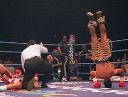 фото - Малиньяджи показал нокдаун Макгрегора, Хамед на голове, Кэмпбелл не смог убедить бульдога — соцсети