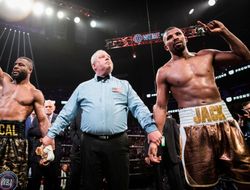 фото - СМИ: Паскаль и Джек сойдутся в реванше, Браун также узнал имя оппонента