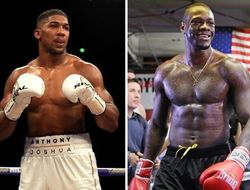 фото - Уайлдер призывает организовать бой с Джошуа «здесь и сейчас»: Хватит болтать!