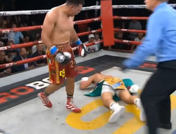 фото - Эрнандес с одного удара срубил Шрамма: видео