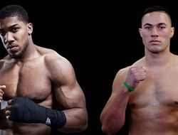 фото - Бой Джошуа с Паркером присматривают на весну