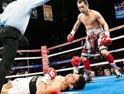 фото - Иноуэ–Донэйр: видео топ-5 лучших нокаутов чемпионов