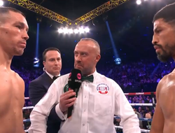 фото - Дэйвис ярко нокаутировал Роблеса и стал чемпионом мира: видео