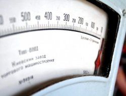 фото - Траут, Угас, Тадуран и Вайядарес прошли взвешивание: результаты и фото