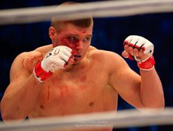 фото - (ММА) M-1 Challenge 39: Денис Смолдарев остановил Ибрагима Ибрагимова