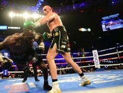 фото - Уайлдеру и Фьюри предложили драться в Австралии. Рассказывает местный промоутер