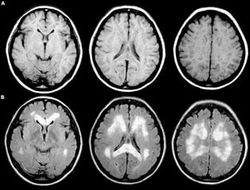 фото - 150 филиппинских боксёров выступали по поддельным медицинским документам