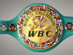 фото - Поветкин и Стиверн разыграют «временный» титул WBC?